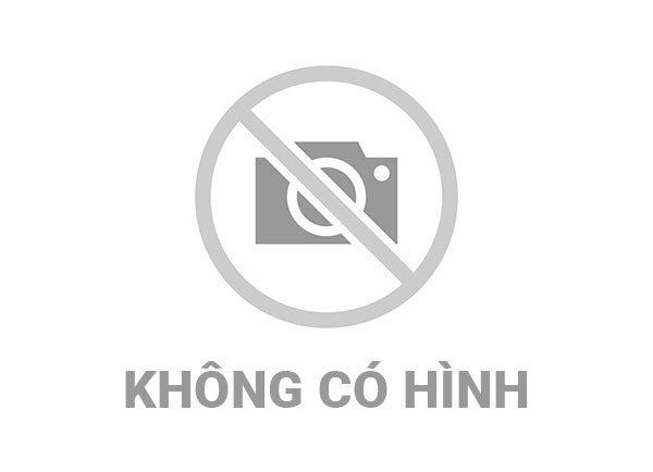 Lễ công bố các Nghị quyết, Quyết định của Đảng ủy, HĐND và UBND xã Thiện Hòa về công tác cán bộ